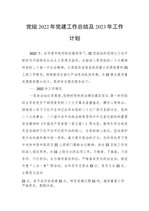党组2022年党建工作总结及2023年工作计划.docx