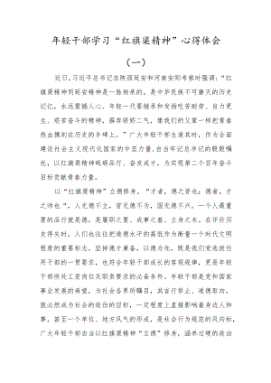 (2篇)学习“红旗渠精神”心得体会发言材料.docx