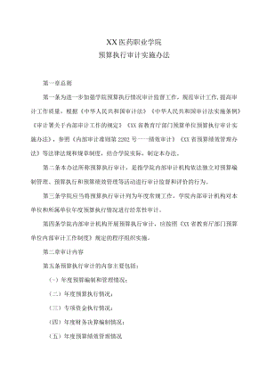 XX医药职业学院预算执行审计实施办法.docx