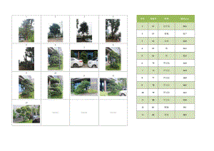 XXXXXXXX（项目名称）绿化清单（范本）.docx