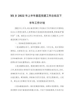 XX乡2022年上半年基层党建工作总结及下半年工作计划.docx