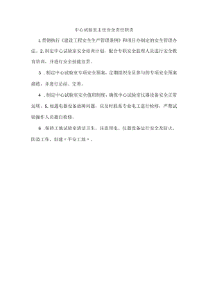 中心试验室主任安全责任职责.docx
