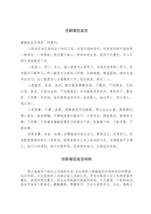 任职表态发言.docx