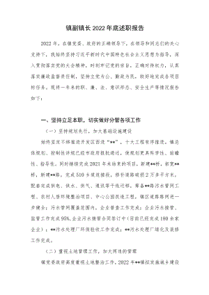 乡镇副镇长2022年度个人述职报告.docx