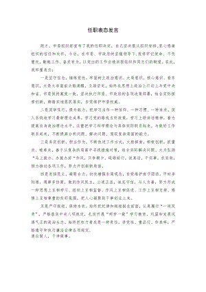 任职表态发言（范例).docx