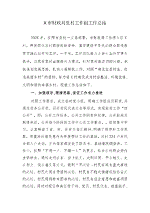 X市财政局驻村工作组工作总结.docx