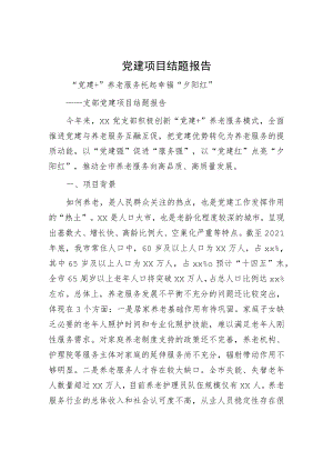 党建项目结题报告.docx