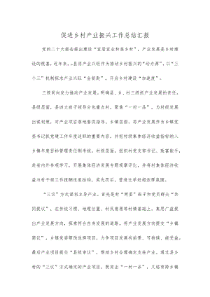 促进乡村产业振兴工作总结汇报.docx