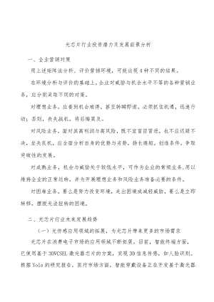 光芯片行业投资潜力及发展前景分析.docx