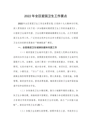 2022年全区爱国卫生工作要点.docx