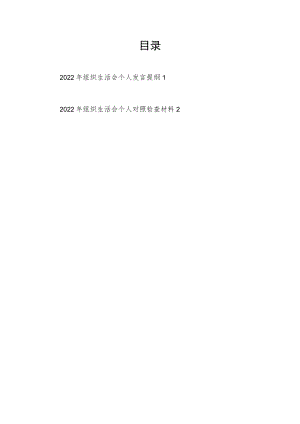 2022年组织生活会个人对照检查发言提纲2篇.docx