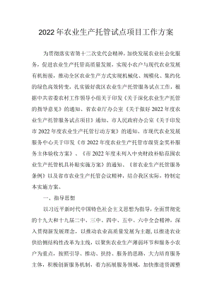 2022年农业生产托管试点项目工作方案.docx