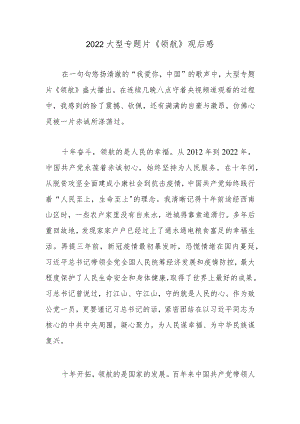 2022大型专题片《领航》观后感.docx