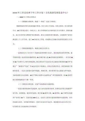 XXXX年工作总结和下年工作计划（文化旅游发展促进中心）docx.docx