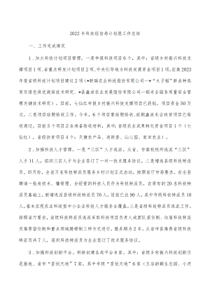 2022年科技经信局计划股工作总结.docx