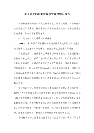 2022年关于党支部标准化规范化建设情况报告.docx