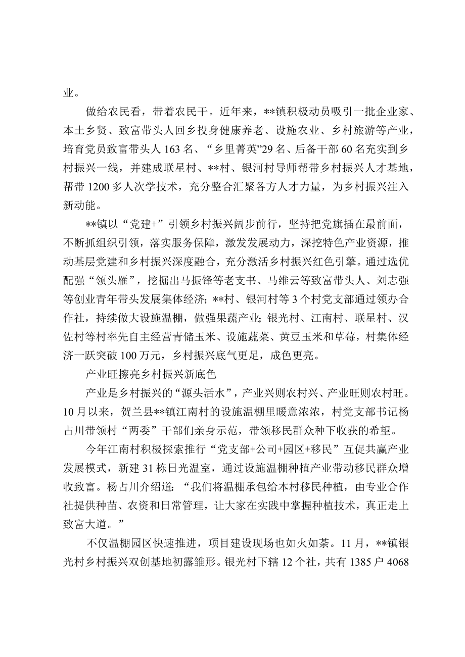 乡村振兴经验交流材料.docx_第3页