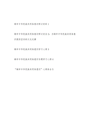 “铸牢中华民族共同体意识”研讨发言材料心得体会感想5篇.docx