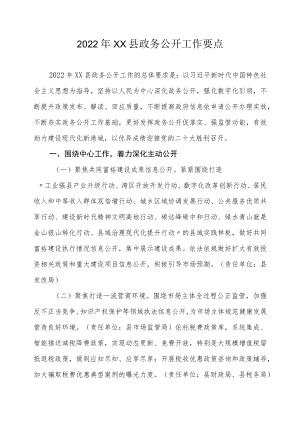 2022年XX县政务公开工作要点.docx