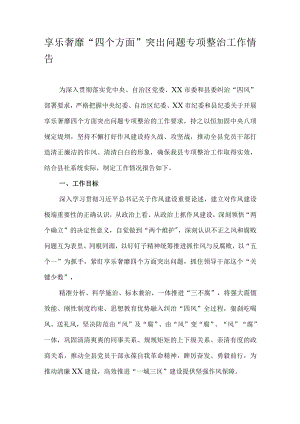 享乐奢靡“四个方面”突出问题专项整治工作情况报告.docx