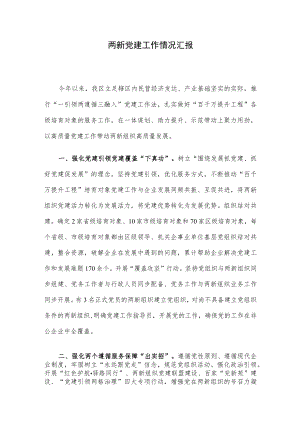 两新党建工作情况汇报.docx