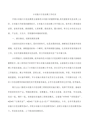 乡村振兴示范创建工作纪实.docx
