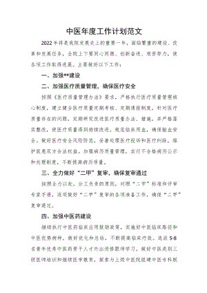 中医年度工作计划范文.docx
