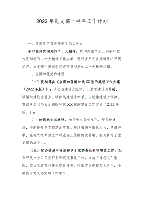 2022年党支部上半年工作计划.docx