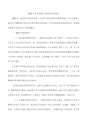2022年支书党建工作述职总结报告.docx