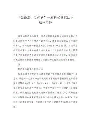 “鬓微霜又何妨”——渐进式延迟法定退休年龄.docx