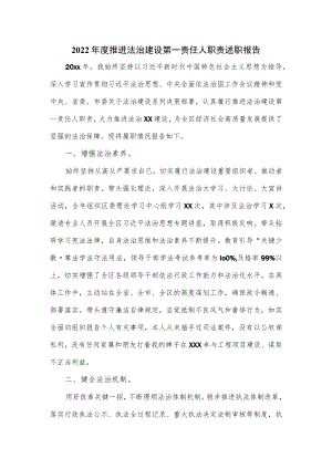 2022年度推进法治建设第一责任人职责述职报告优选.docx