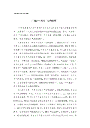 乡村振兴经验交流材料.docx