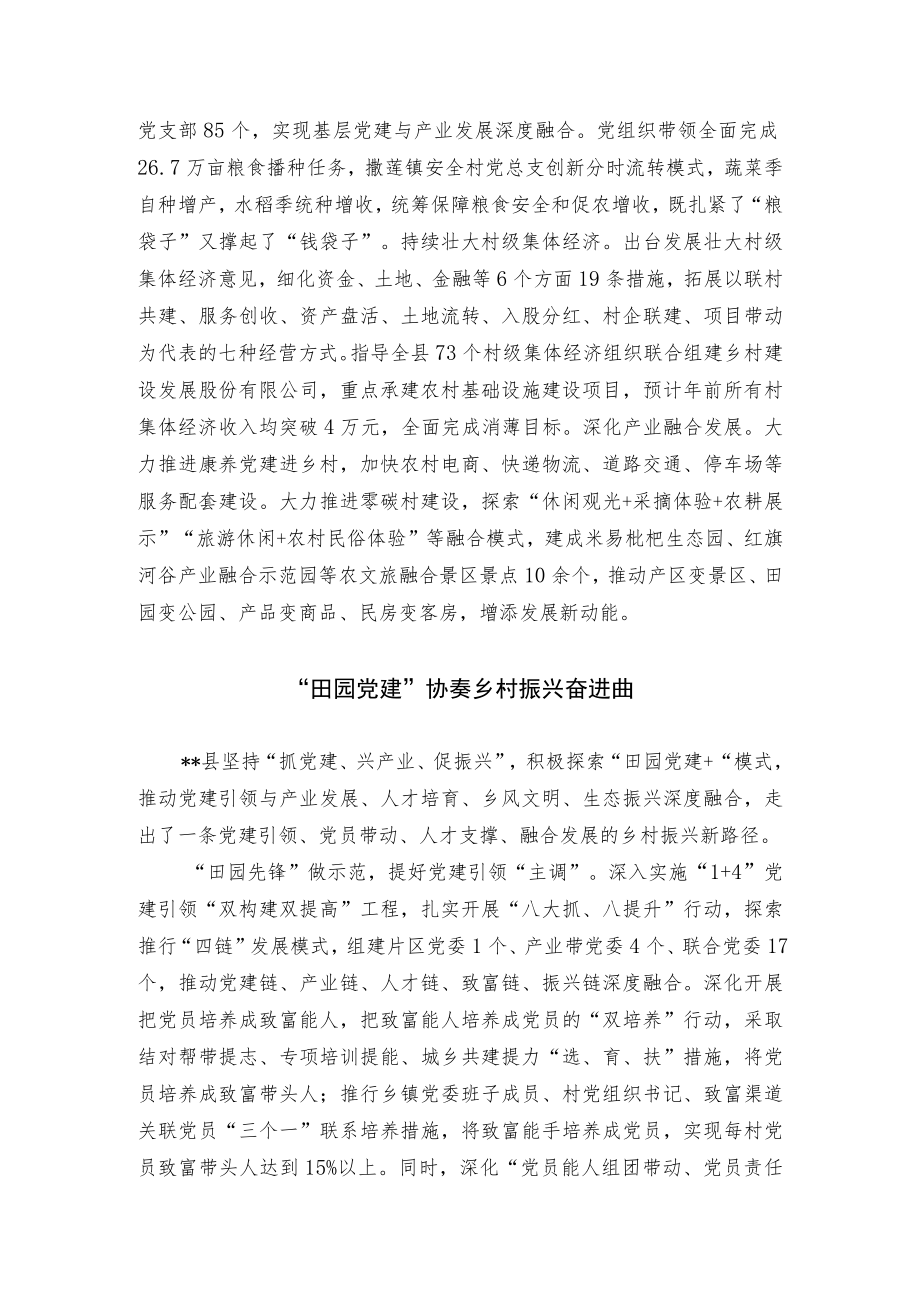 乡村振兴经验交流材料.docx_第3页