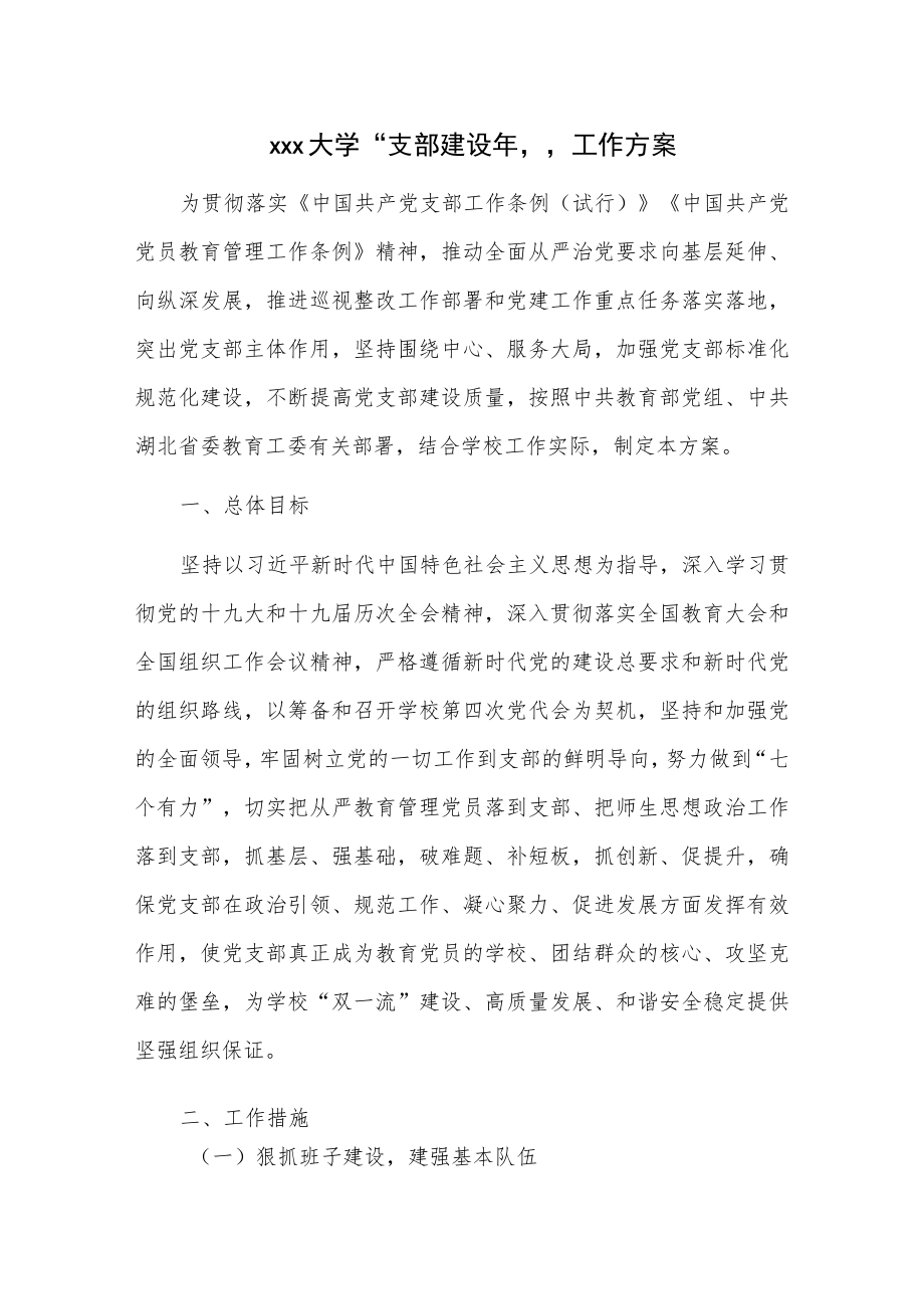xxx大学“支部建设年”工作方案.docx_第1页