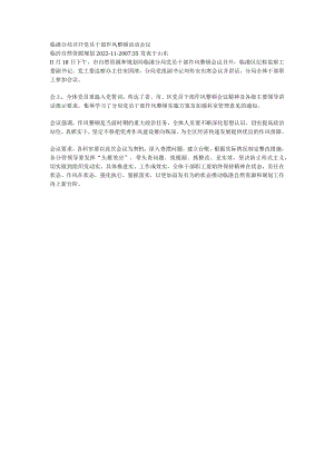 临港分局召开党员干部作风整顿活动会议.docx