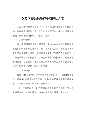XX区侵蚀沟治理专项行动方案.docx