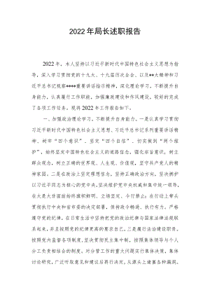 2022年局长述职报告.docx