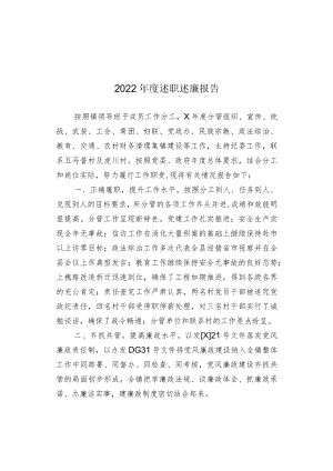 2022年度述职述廉报告.docx