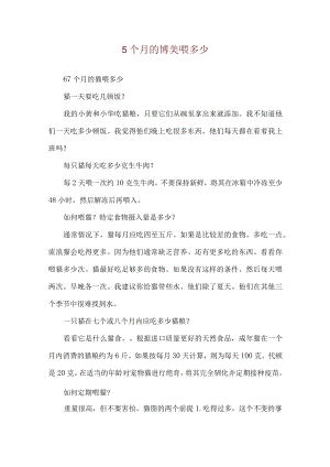 5个月的博美喂多少.docx