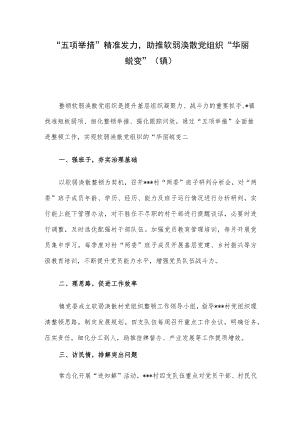 “五项举措”精准发力助推软弱涣散党组织“华丽蜕变”（镇）.docx