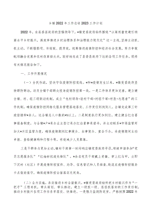 乡镇2022年工作总结2023工作计划.docx