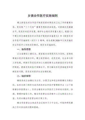 乡镇合作医疗实施细则.docx