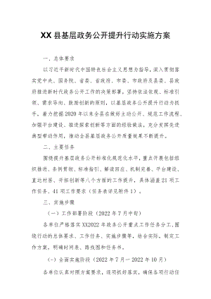 XX县基层政务公开提升行动实施方案.docx