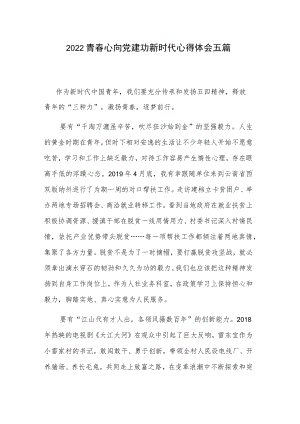 2022青春心向党建功新时代心得体会五篇.docx