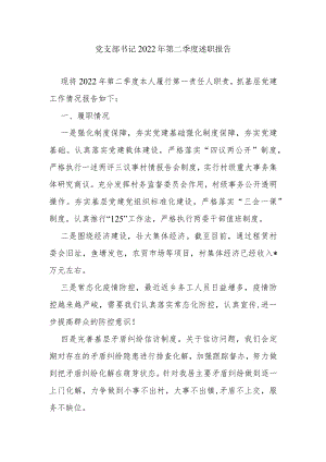 党支部书记2022年第二季度述职报告.docx