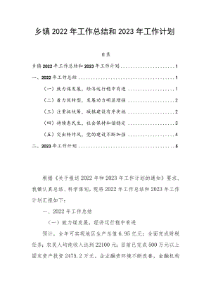 乡镇2022年工作总结和2023年工作计划.docx