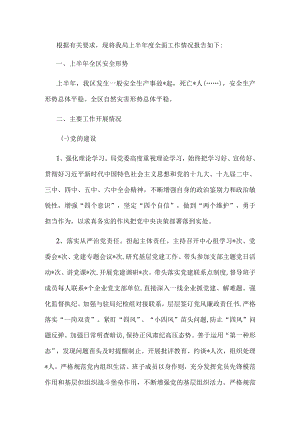 2022年上半年区应急管理局全面工作情况报告.docx