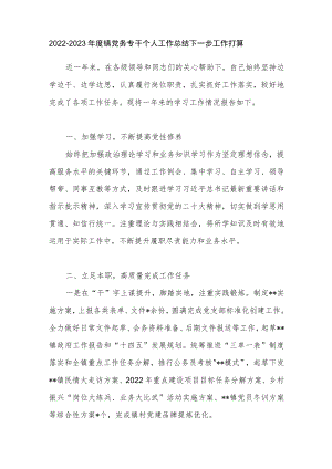 2022－2023年度党务专干个人工作总结下一步工作打算.docx