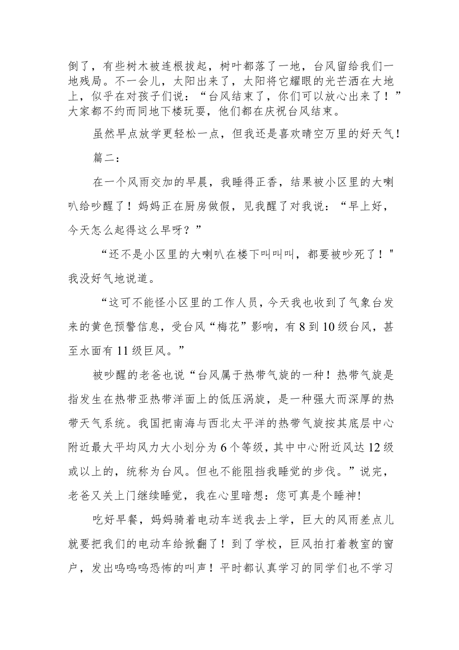 《台风来了》作文三篇.docx_第2页