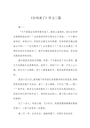 《台风来了》作文三篇.docx